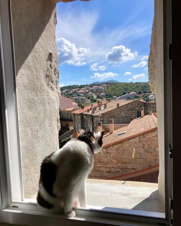 T3 Avec Vue Sur La Mer Notre Chez-Nous Propriano (Corsica) Exterior foto